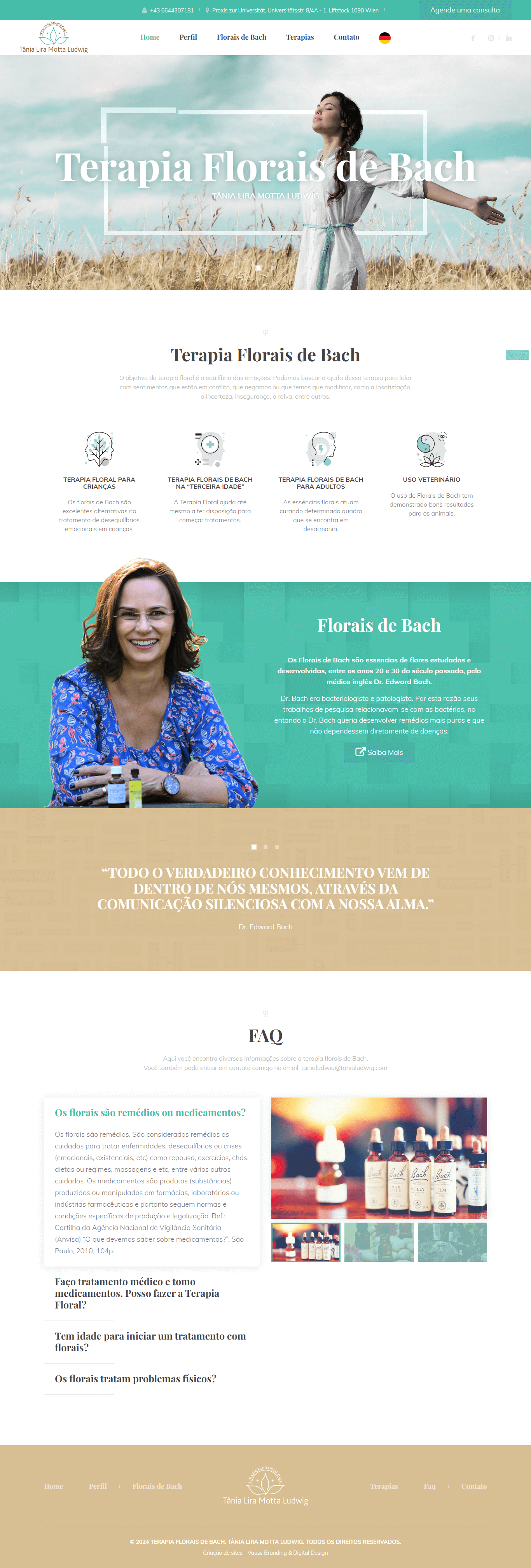 criação de site tânia ludwig