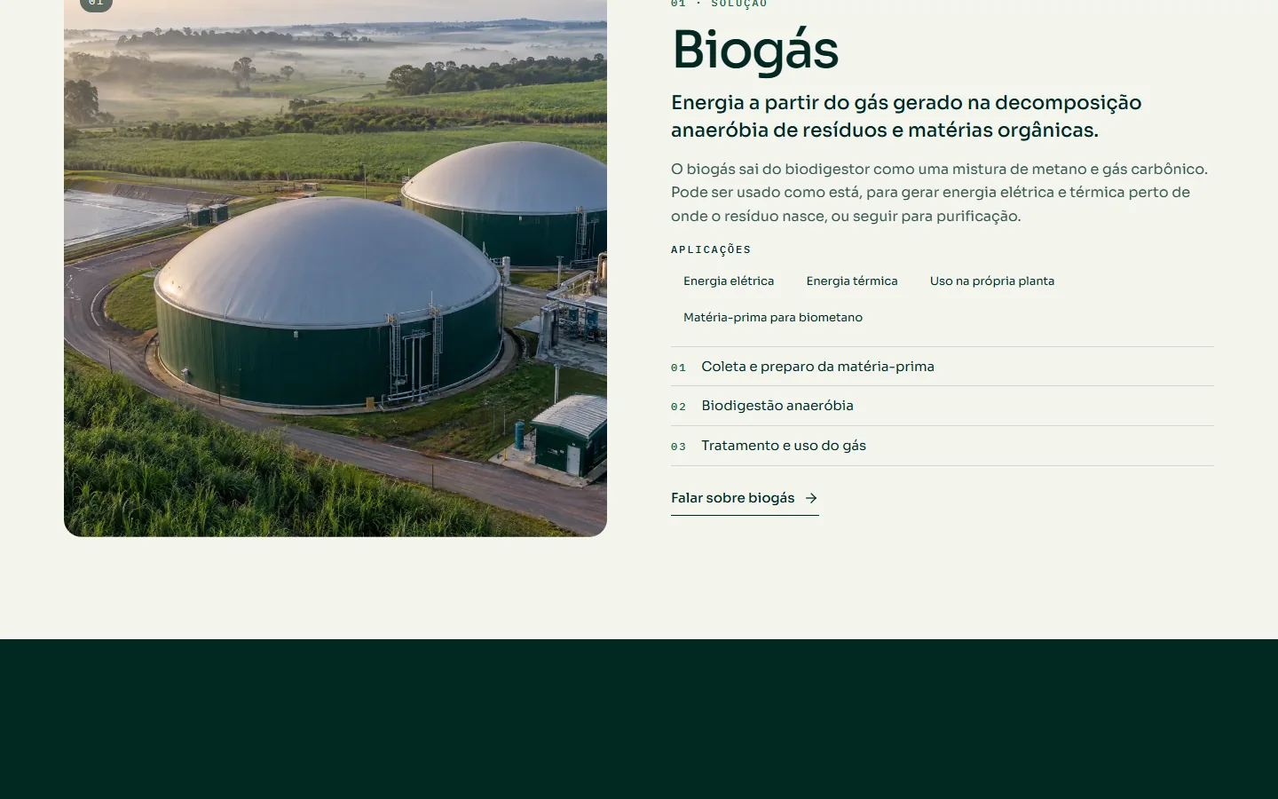 Página de solução Biogás no site BIOMETIVA