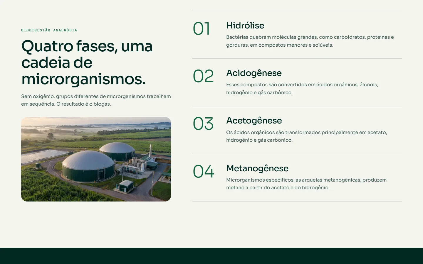 Página de tecnologia do site BIOMETIVA: quatro fases da biodigestão anaeróbia